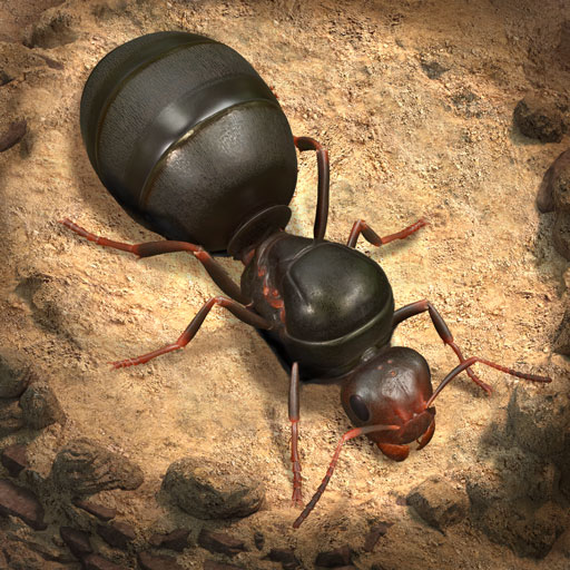 the ants apk icon